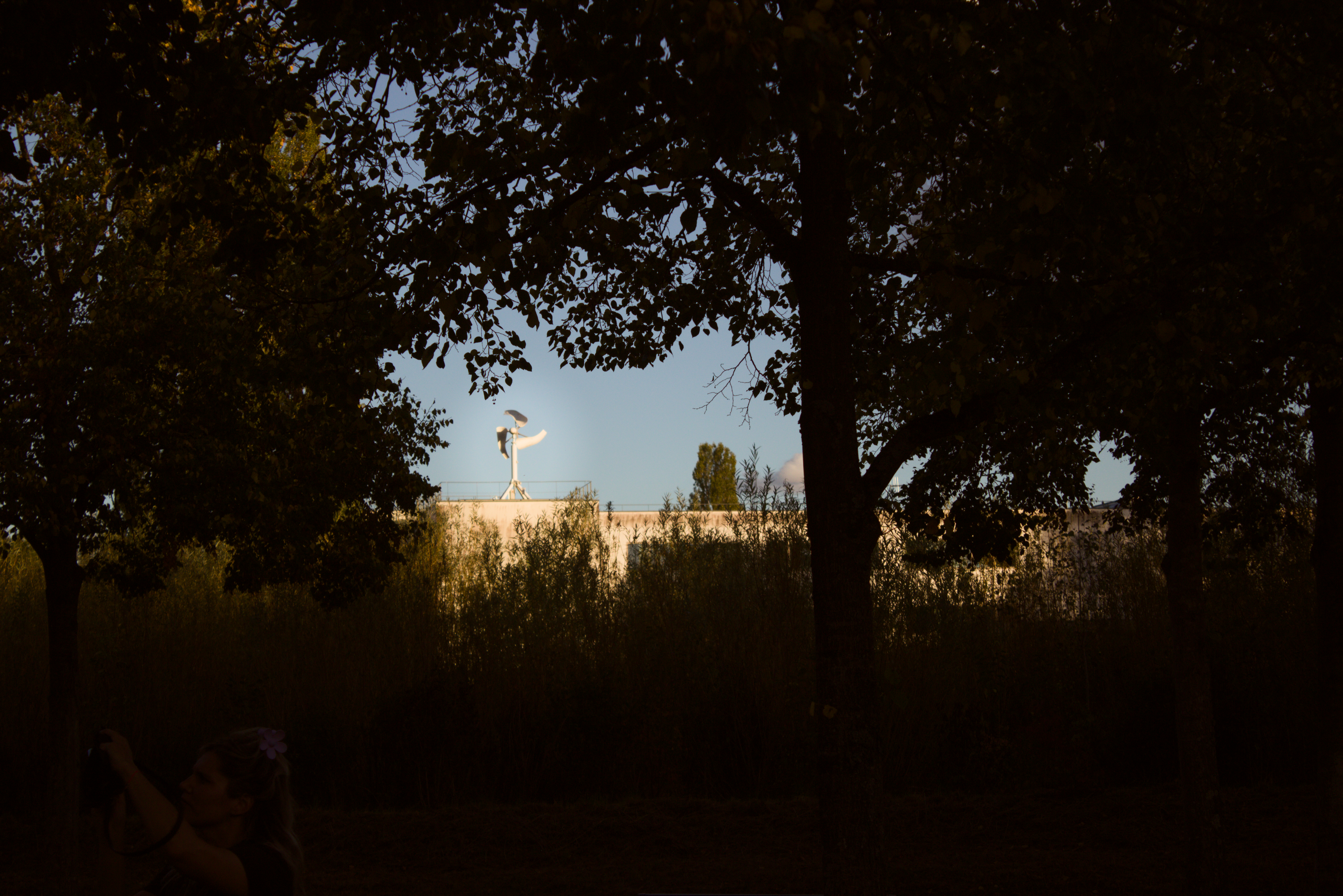 paysage